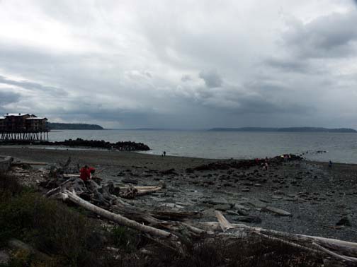 View of Alki