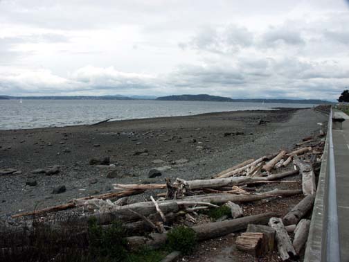 View of Alki