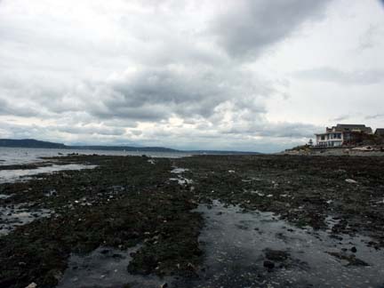 View of Alki