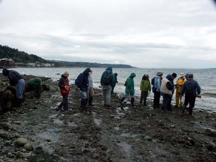 naturalists